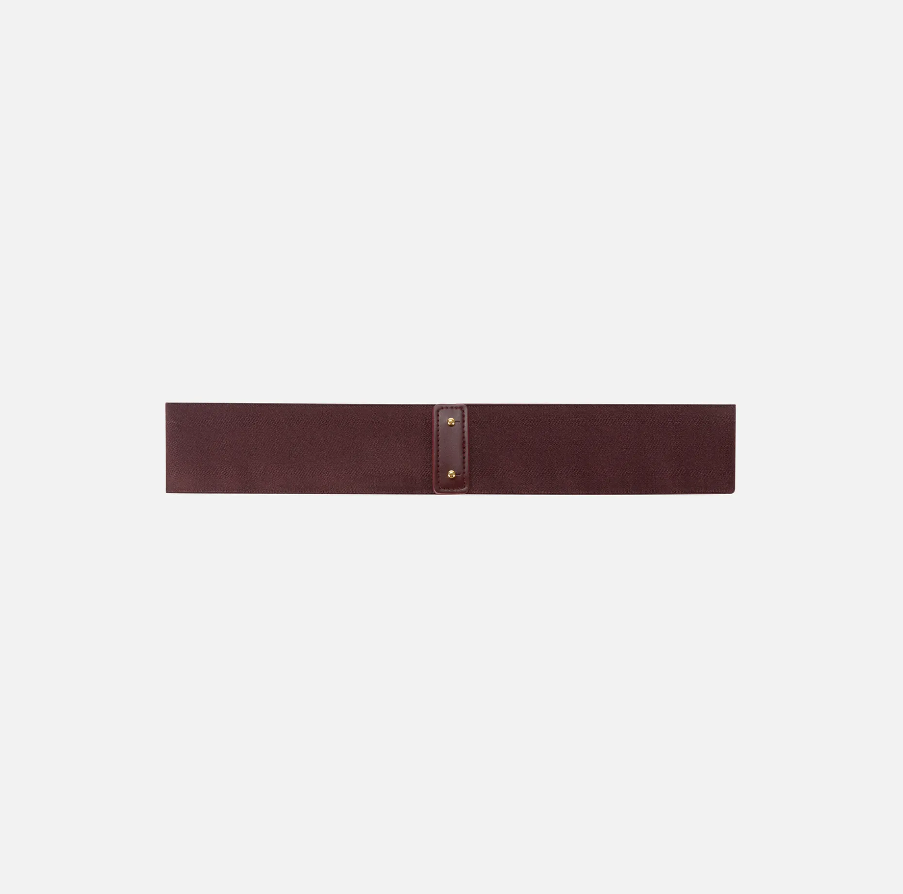 Elisabetta Franchi Belts | Elastic belt with logo plaque