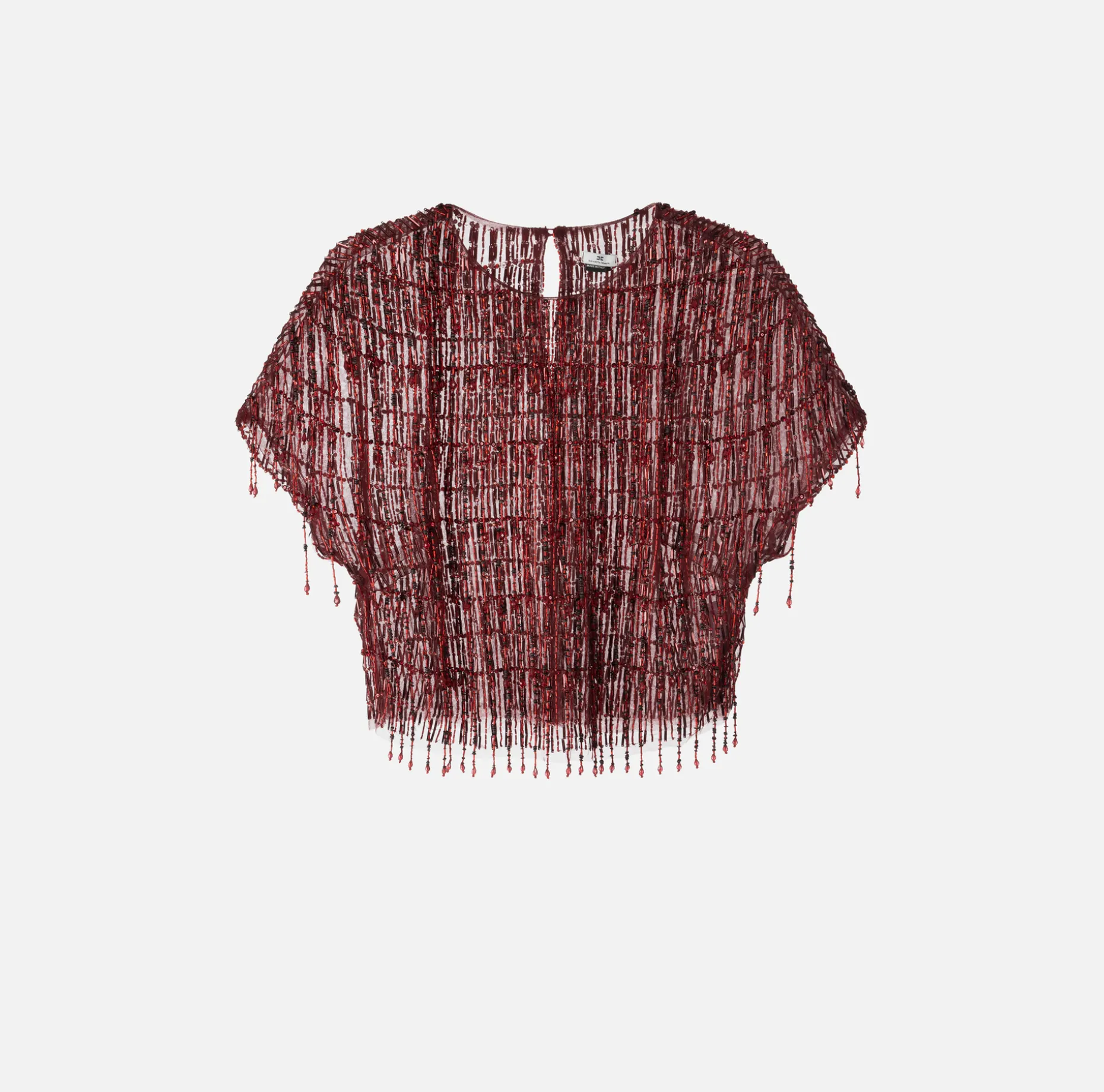 Elisabetta Franchi Top And T-Shirts | Tulle boxy top embroidered with sequins