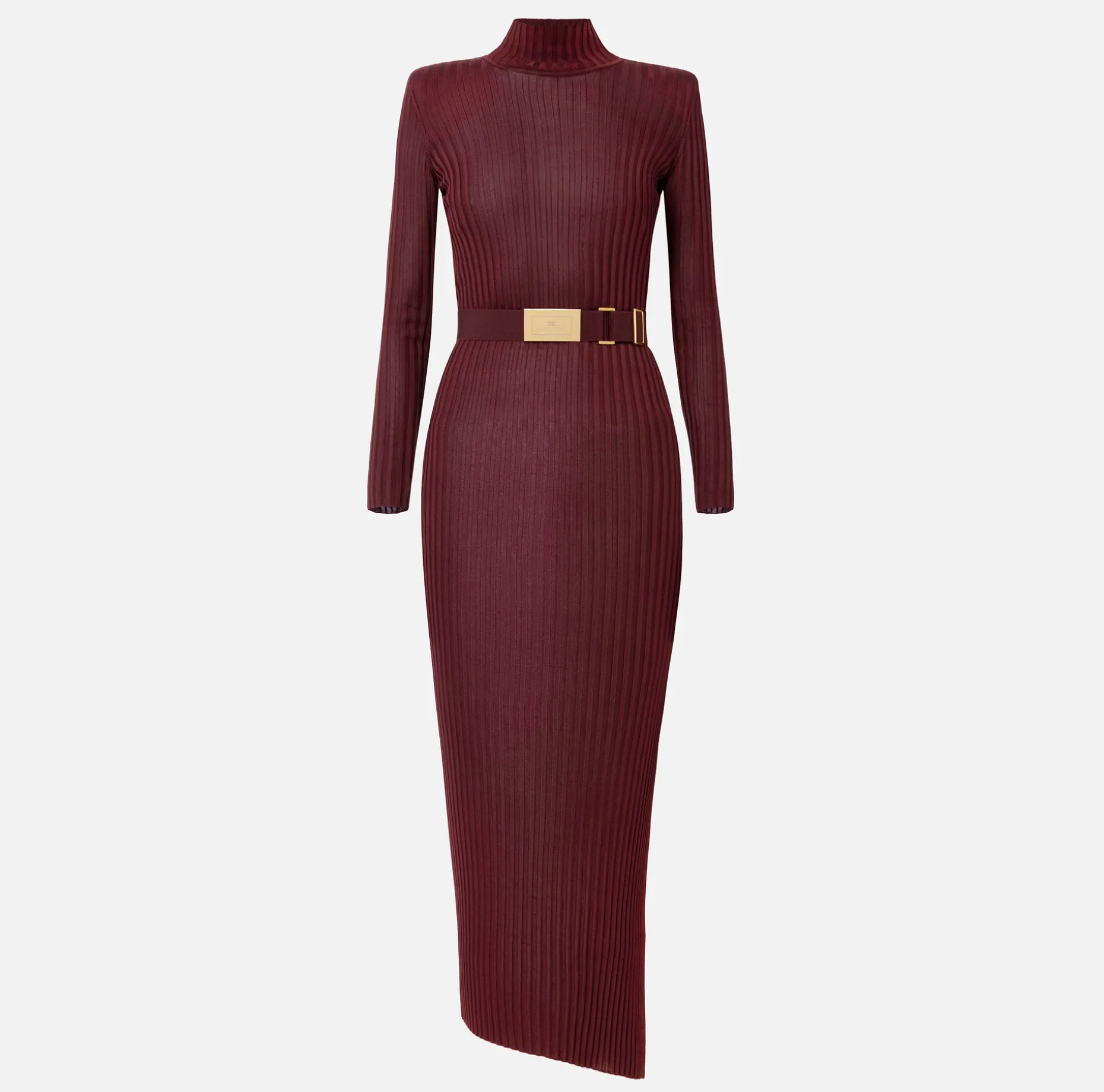 Elisabetta Franchi Knitted Dresses | Dresses | Turtleneck dress in ribbed shiny viscose fabric with belt