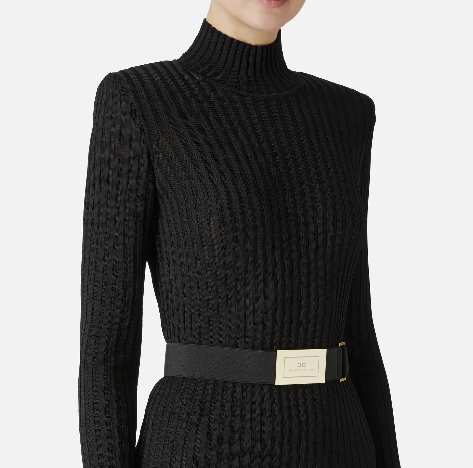 Elisabetta Franchi Knitted Dresses | Dresses | Turtleneck dress in ribbed shiny viscose fabric with belt