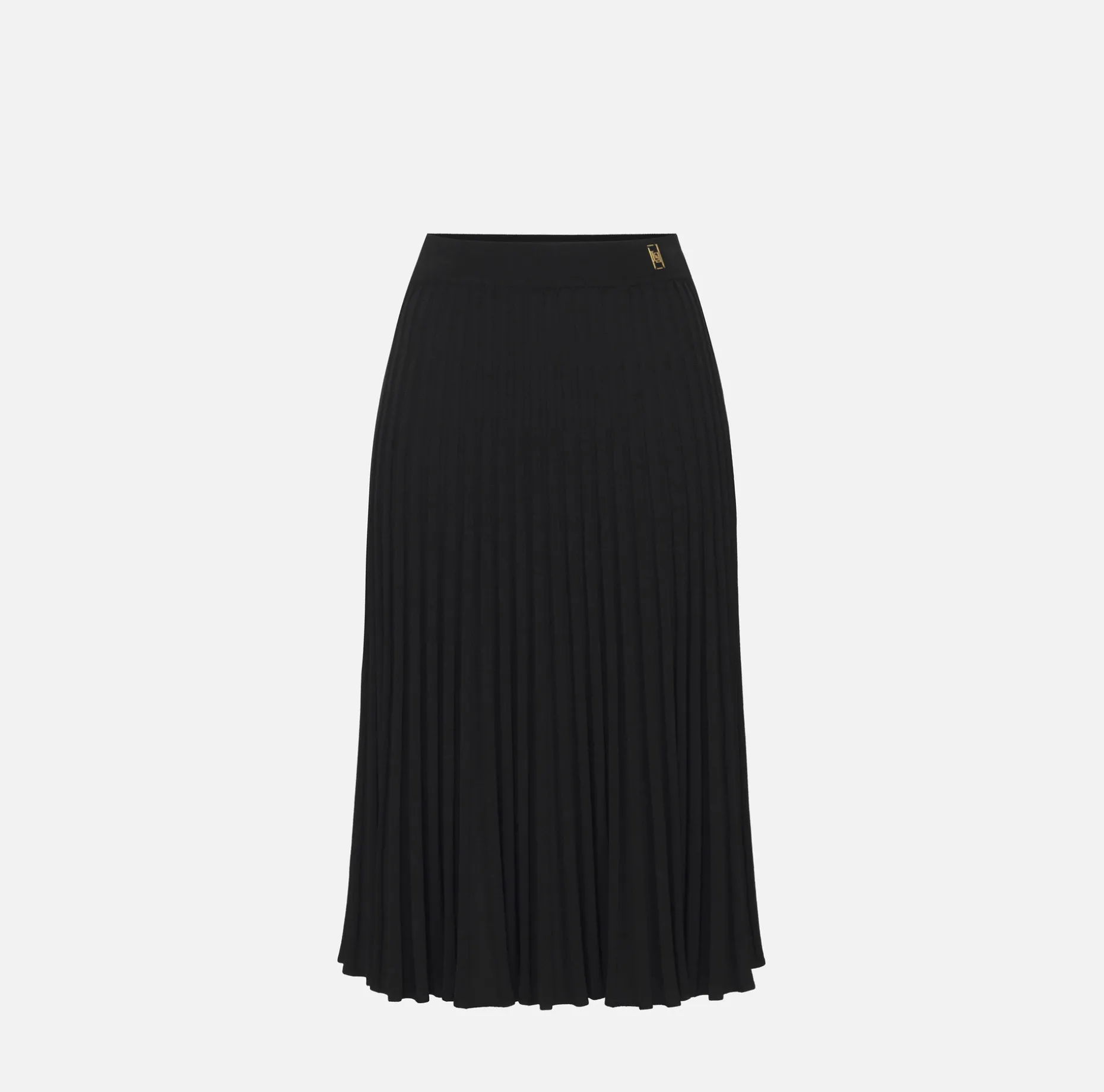 Elisabetta Franchi Skirts | Viscose midi skirt with pleated effect